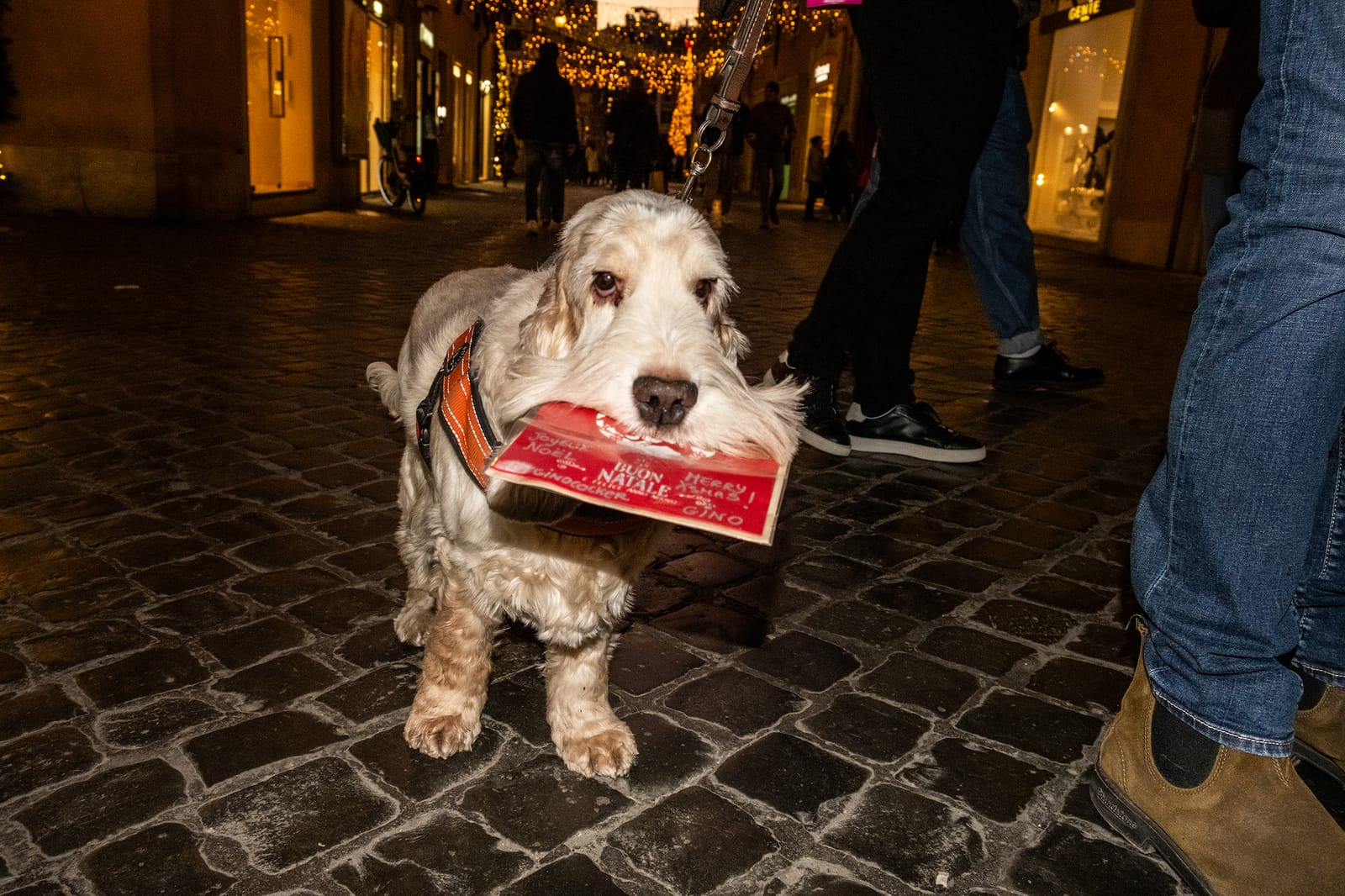 Il Natale dei fotografi di strada italiani